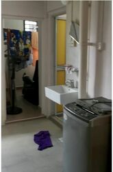 Blk 256 Kebun Baru View (Ang Mo Kio), HDB 3 Rooms #356284511